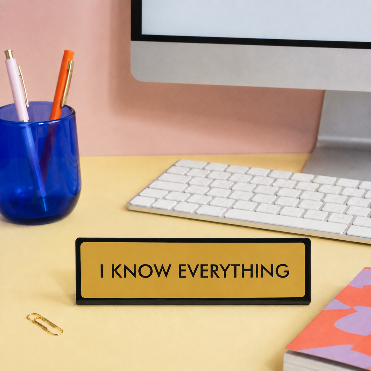 I Know Everything Desk Plate Sign