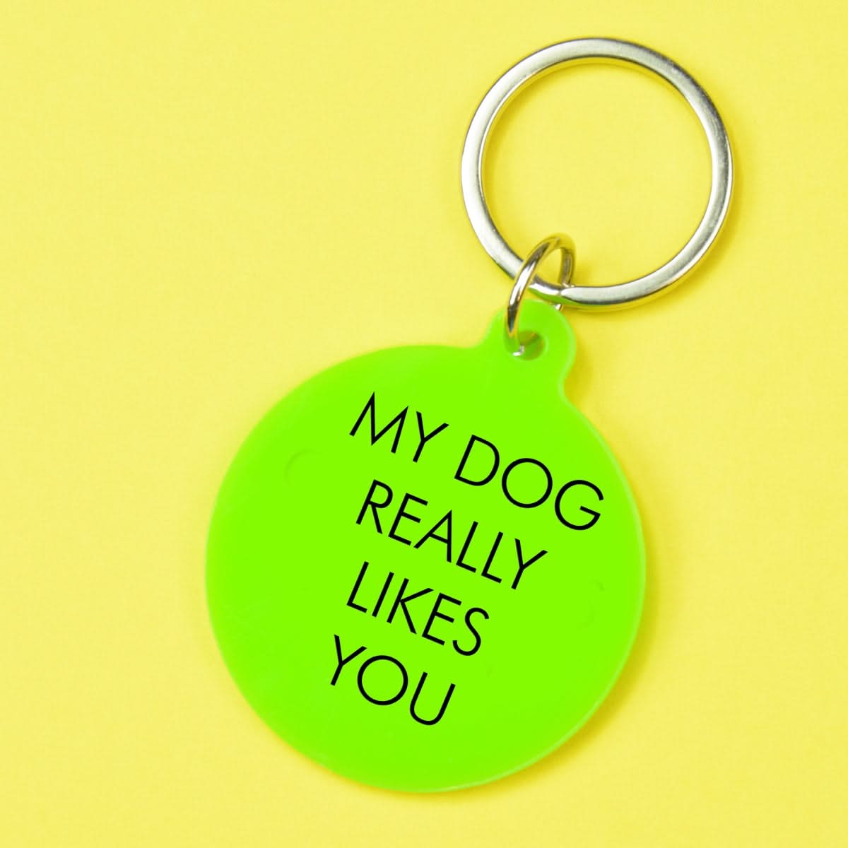 My Dog Really Likes You Keytag