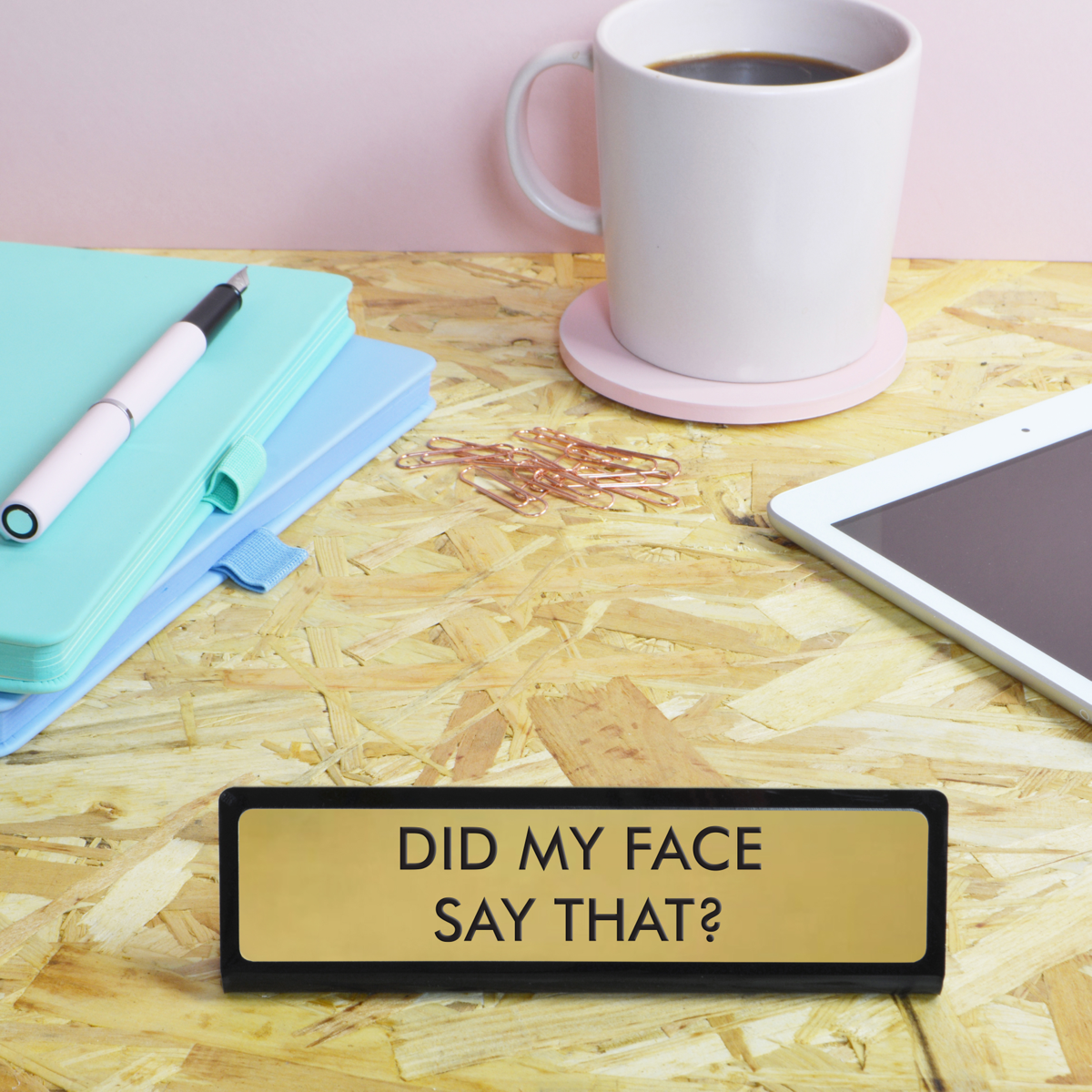 Did My Face Say That? Desk Plate Sign